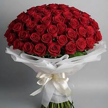 Букет 101 Красная роза Блэк Мэджик в Мурманске