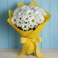 Букет цветов из:  Хризантемы в Мурманске