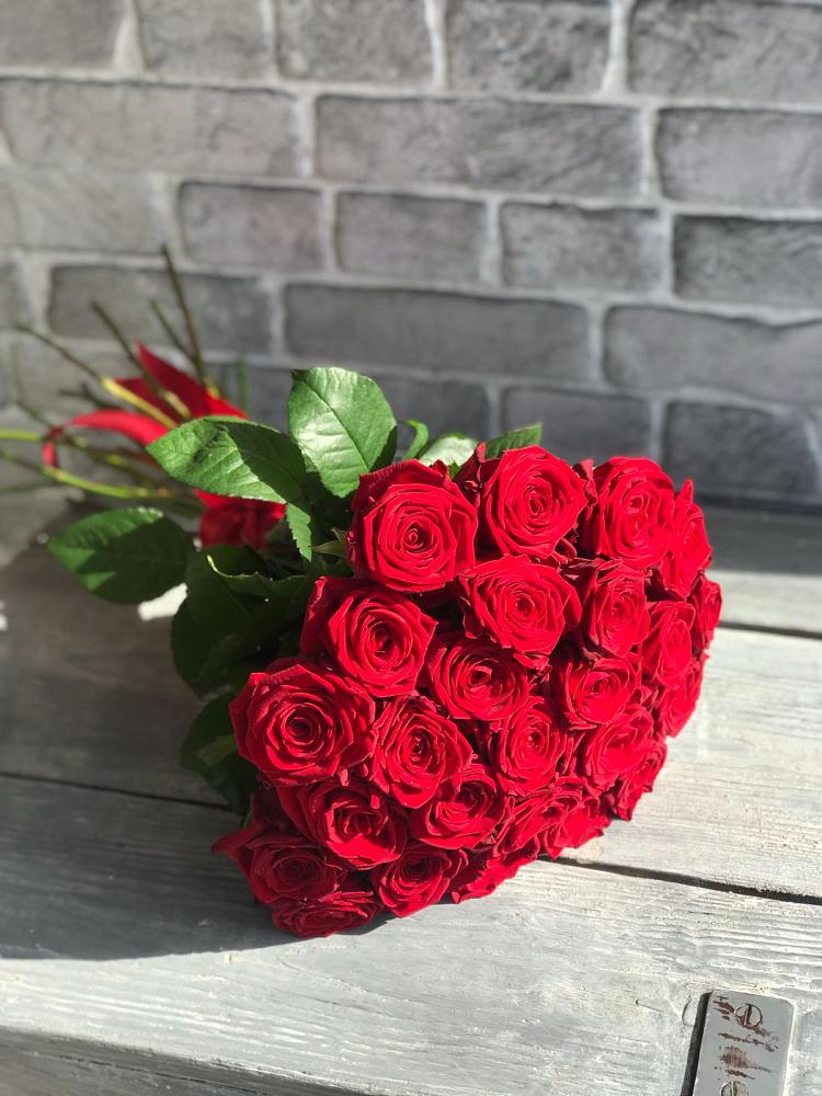 Букет Красные розы Фридом в Мурманске