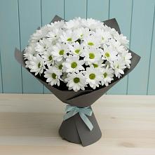 Букет цветов из:  Хризантемы #REPLACE_PRED# Мурманске