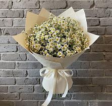 Букет цветов из:  Ромашки в Мурманске