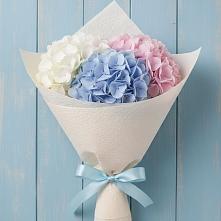 Букет цветов из:  Гортензия в Мурманске