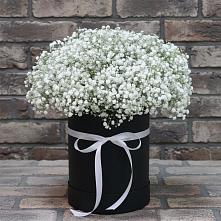 Цветочная композиция из Гипсофила в шляпной коробке в Мурманске