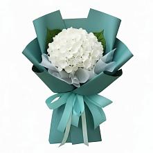 Букет цветов из:  Гортензия #REPLACE_PRED# Мурманске
